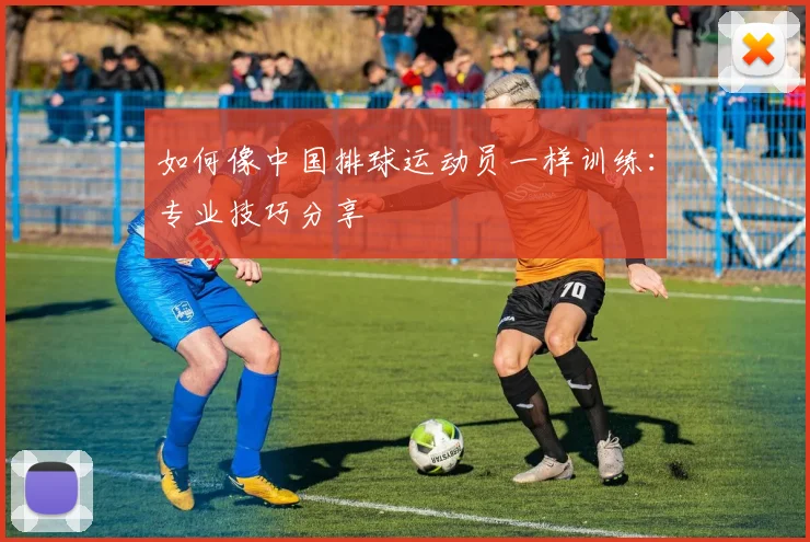 如何像中国排球运动员一样训练:专业技巧分享