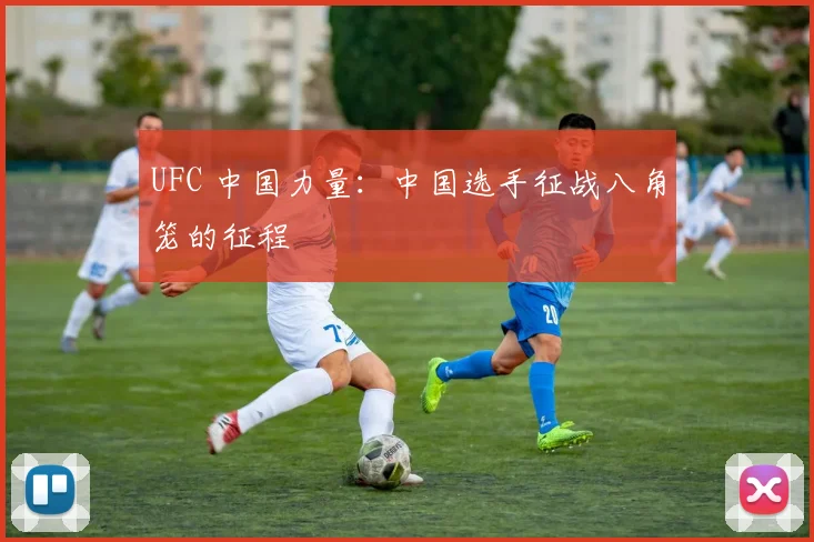 UFC 中国力量：中国选手征战八角笼的征程