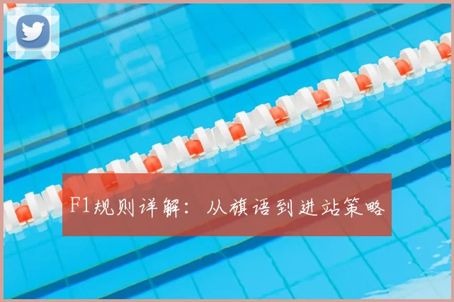 F1规则详解:从旗语到进站策略