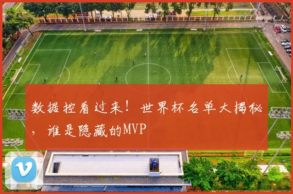 数据控看过来!世界杯名单大揭秘,谁是隐藏的MVP