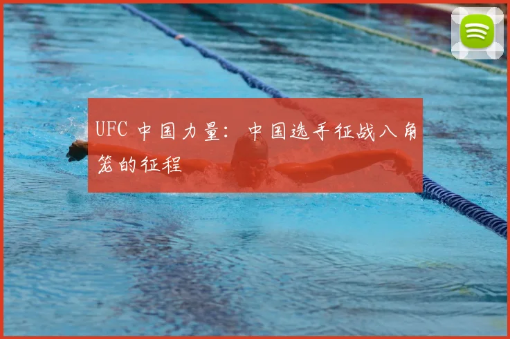 UFC 中国力量:中国选手征战八角笼的征程